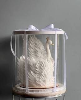 photo_2025-09-01_22-03-11